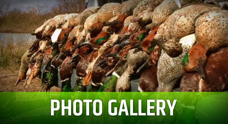 Swamp Nasty Outfitters Photo Galleries