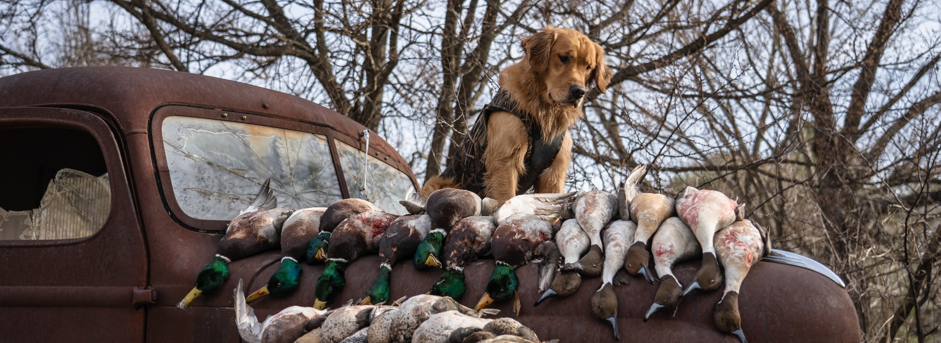 North Texas Hunting